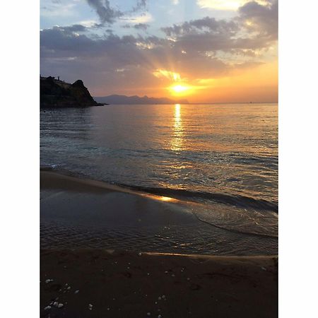 Le Palme Vacanze Trappeto  Luaran gambar